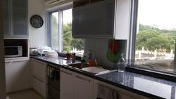 Pandan Valley (D21), Condominium #121632162